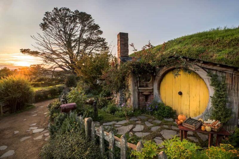 From Auckland: Waitomo & Hobbiton Bus Tour with Lunch - Key Points