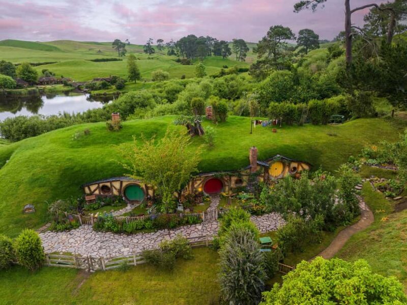 From Auckland: Waitomo & Hobbiton Bus Tour with Lunch - An In-Depth Look at the Experience