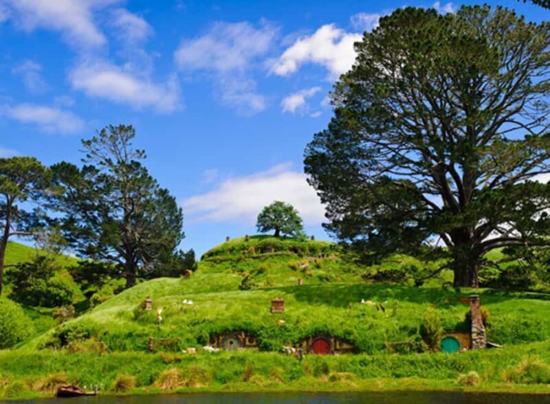 From Auckland: Waitomo & Hobbiton Bus Tour with Lunch - FAQ