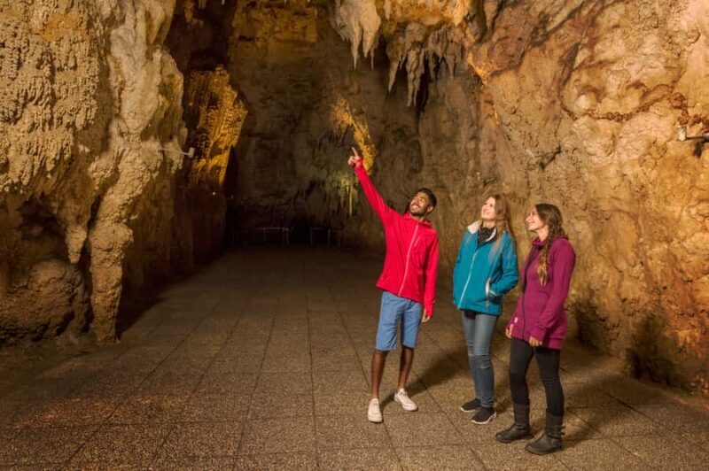 From Auckland: Waitomo & Hobbiton Bus Tour with Lunch - Final Thoughts