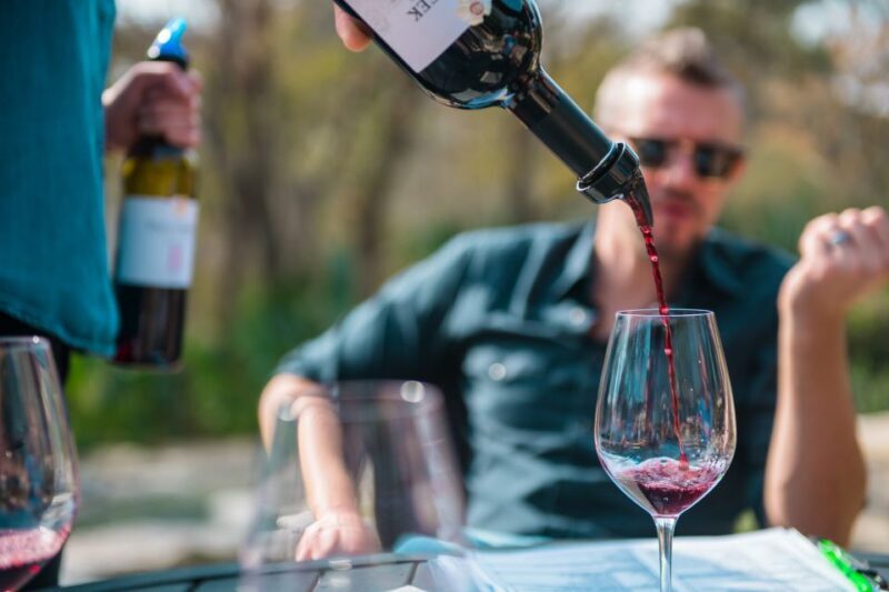 From Austin: Half-Day Hill Country Wine Shuttle - The Experience Breakdown