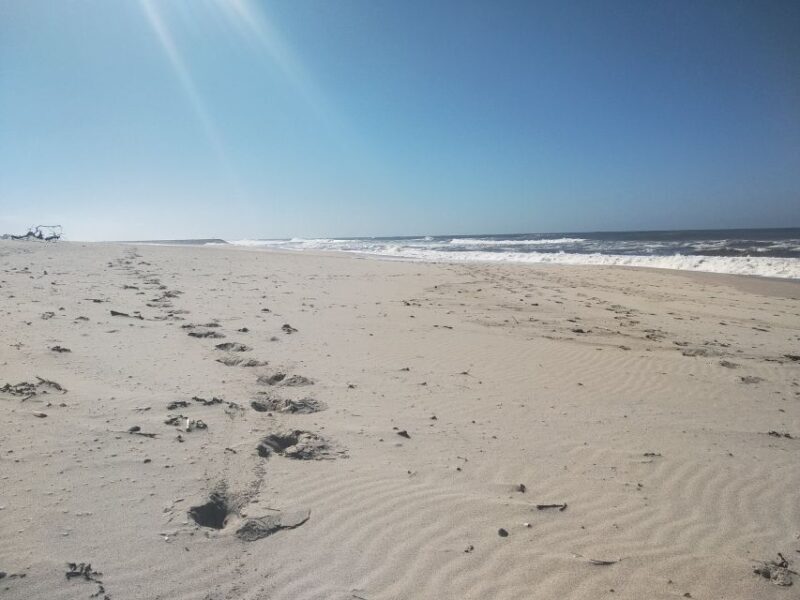 From Aveiro: Barra Beach Lighthouse & Costa Nova Guided Tour - Price and Value