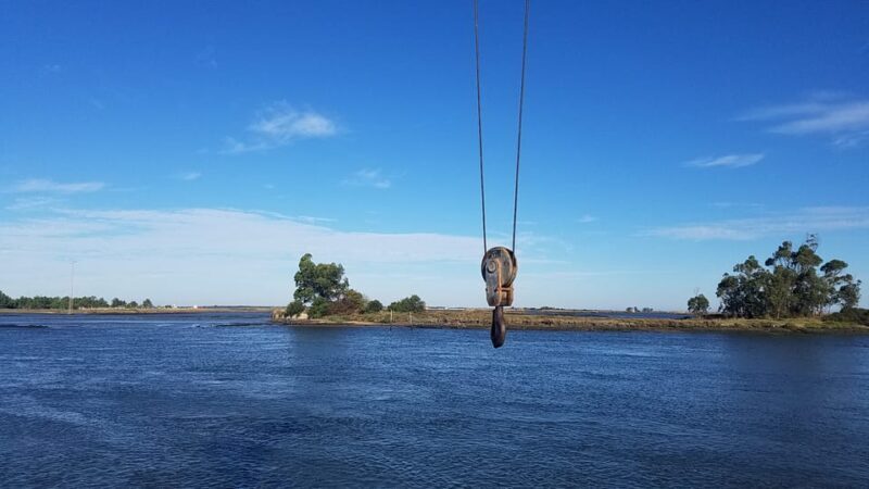 From Aveiro/Ilhavo: Barra, Costa Nova, and Vista Alegre Tour - Exploring the Tour: What to Expect