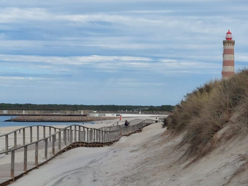 From Aveiro/Ilhavo: Barra, Costa Nova, and Vista Alegre Tour - Vista Alegre: Arts and Heritage