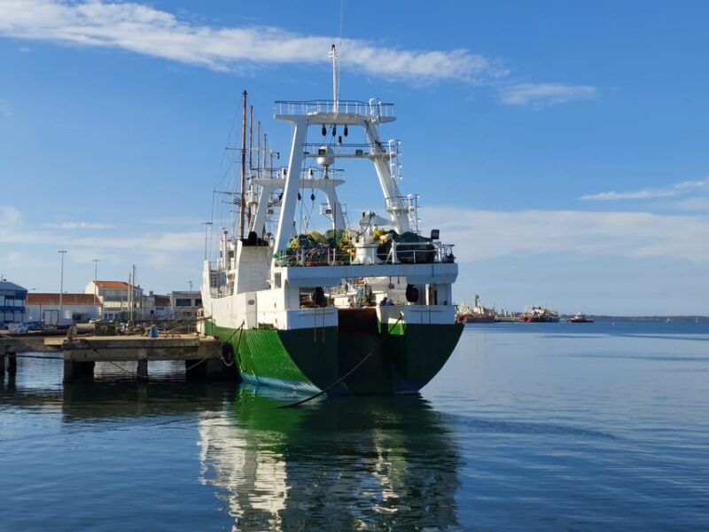 From Aveiro/Ilhavo: Barra, Costa Nova, and Vista Alegre Tour - Who Is This Tour Best For?