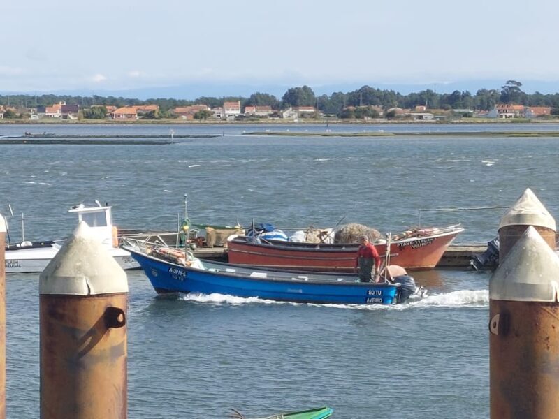 From Aveiro/Ilhavo: Barra, Costa Nova, and Vista Alegre Tour - FAQs