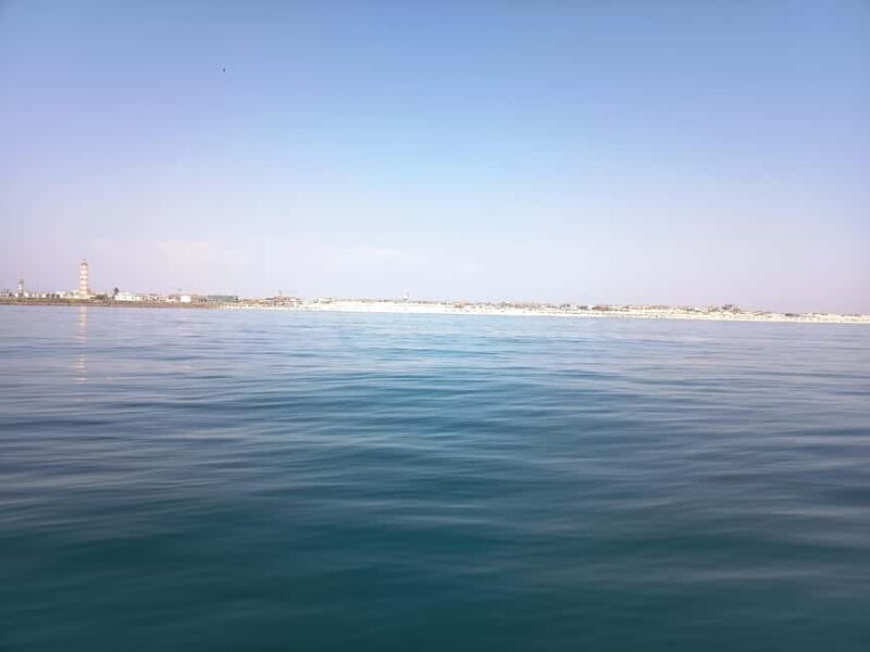 From Aveiro to the Beaches by Boat - Who Will Love This Tour?