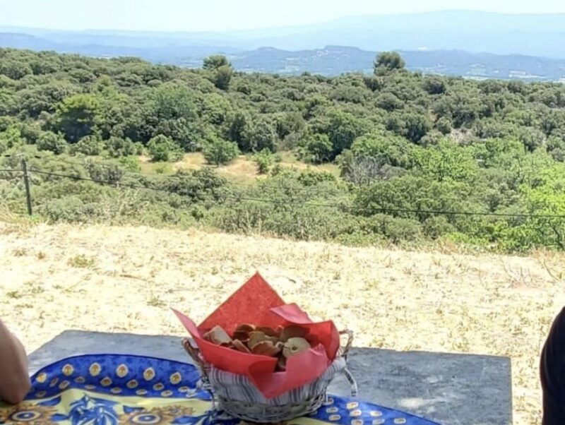 From Avignon: Arles, Les Baux-de-Provence & Saint-Rémy Tour - Olive Oil Experience at Moulin CastelaS