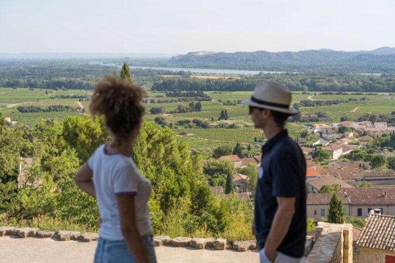 From Avignon: Châteauneuf du Pape Half-Day Wine Tour - The Scenic Photo Stop
