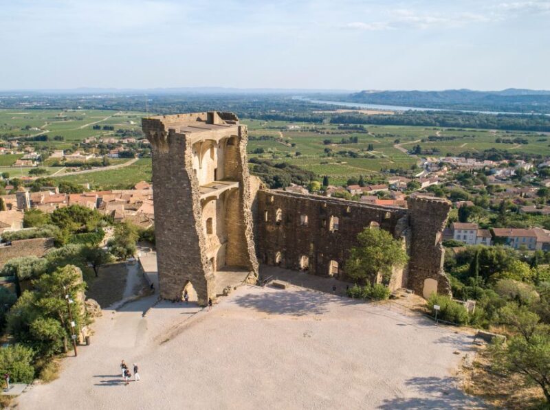 From Avignon: Châteauneuf du Pape Half-Day Wine Tour - The Experience in Action