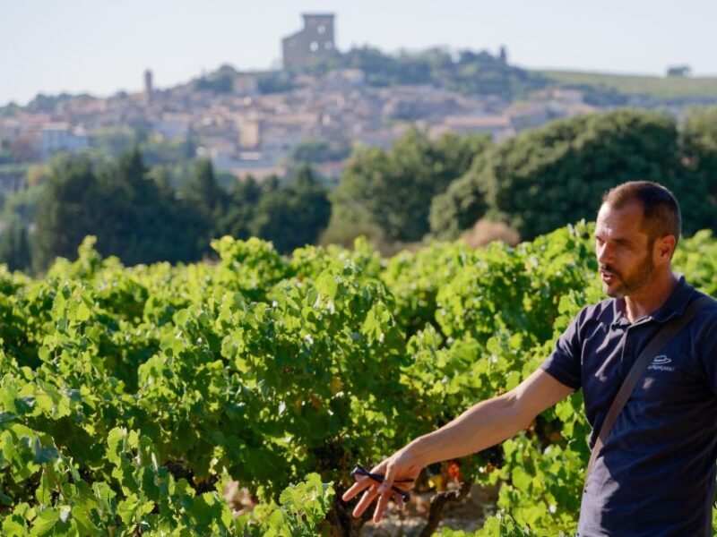 From Avignon: Châteauneuf du Pape Half-Day Wine Tour - FAQs