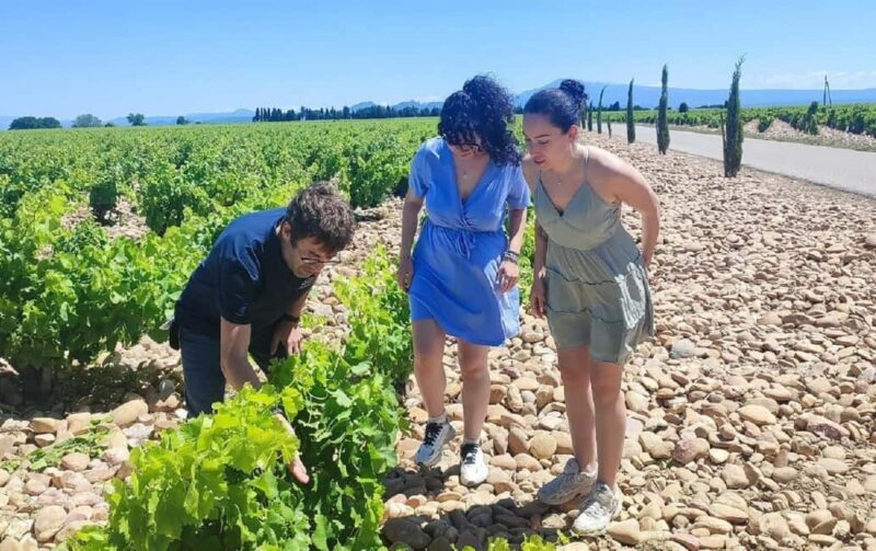 From Avignon: Châteauneuf du Pape Half-Day Wine Tour - Final Thoughts