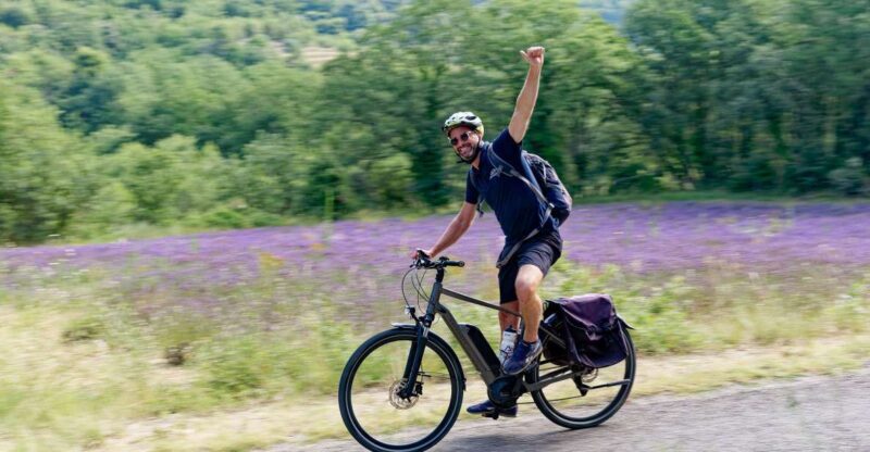 From Avignon: Full-Day E-Bike Tour in the Luberon Region - Who Is This Tour Best Suited For?