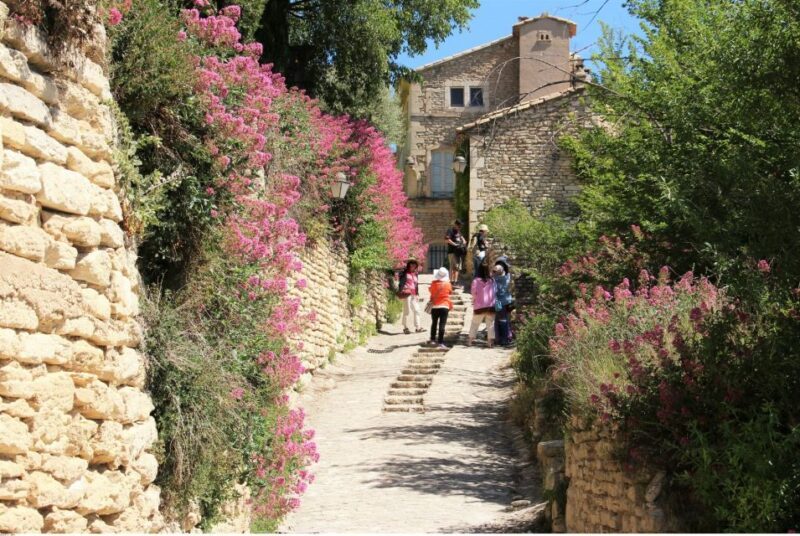 From Avignon: Half-Day Baux de Provence and Luberon Tour - Key Points