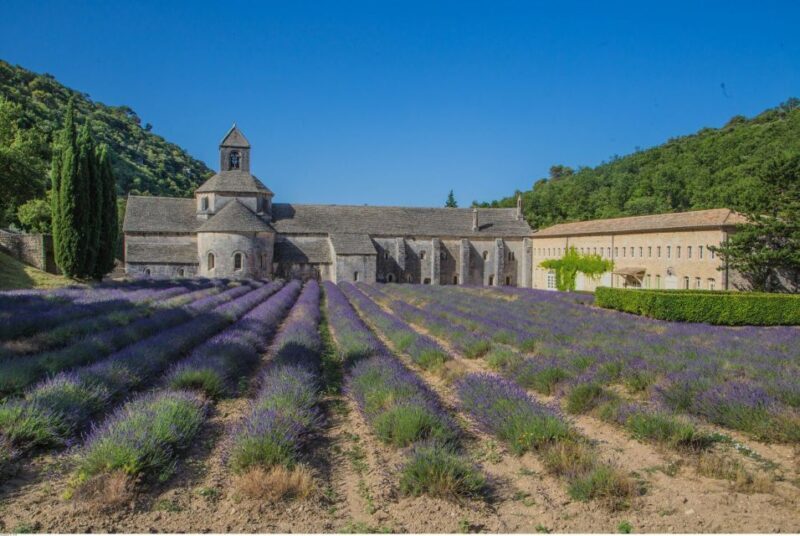 From Avignon: Half-Day Baux de Provence and Luberon Tour - FAQs