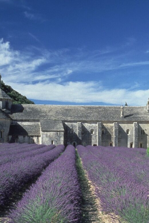 From Avignon: Half-Day Hilltop Villages of Luberon - Exploring the Tour Itinerary and Highlights