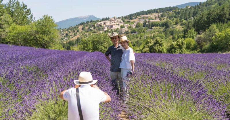 From Avignon: Half-Day Lavender Tour of Luberon - Key Points