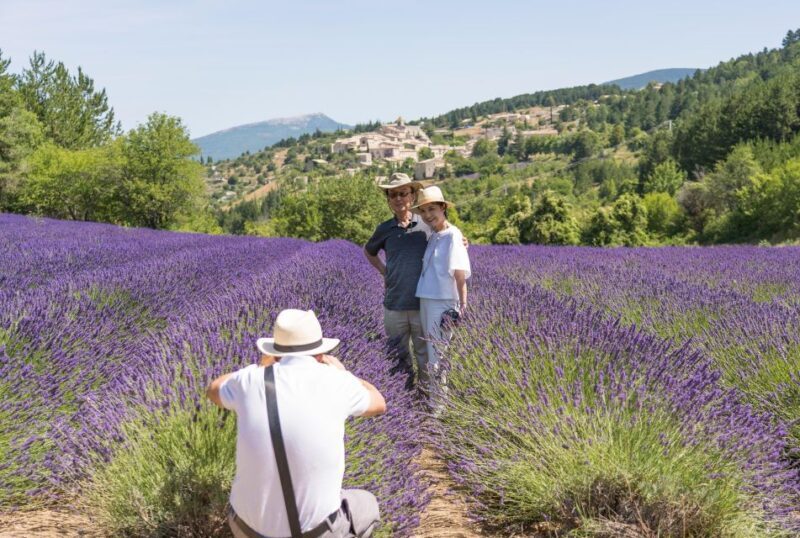 From Avignon: Half-Day Lavender Tour of Luberon - The Itinerary and What It Means for You