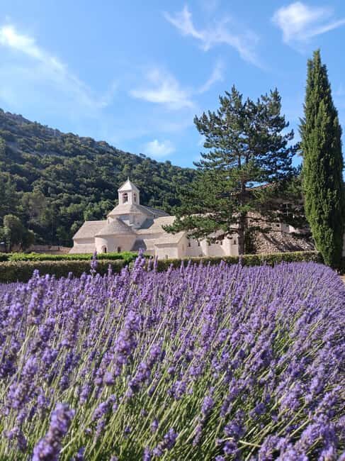 From Avignon: Half-Day Lavender Tour of Luberon - Who Should Consider This Tour?
