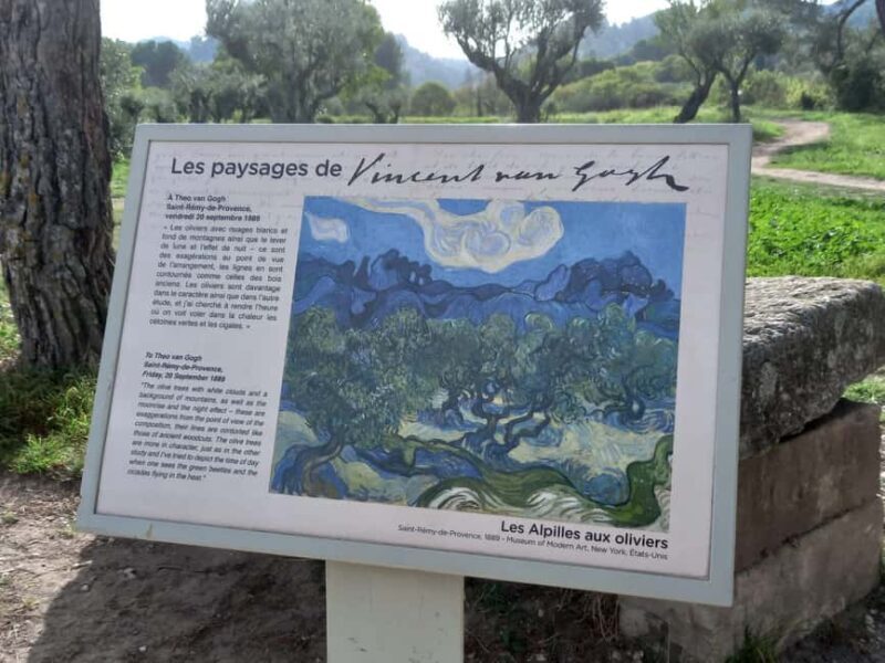From Avignon: In the Footsteps of Van Gogh in Provence - Pricing & Value