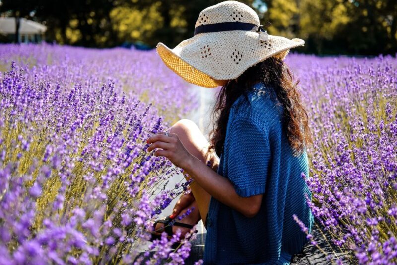From Avignon: Lavender Fields & Luberon Village Guided Tour - The Experience Through the Eyes of Past Travelers