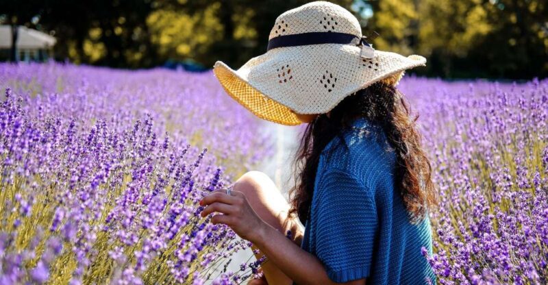 From Avignon: Lavender Fields & Luberon Village Guided Tour - Final Thoughts