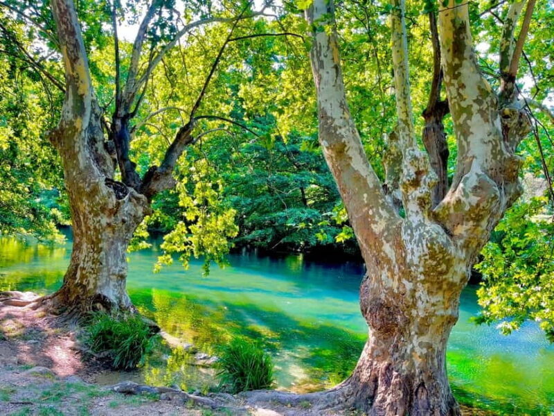 From Avignon: Provence Highlights Full-Day Tour - Key Points