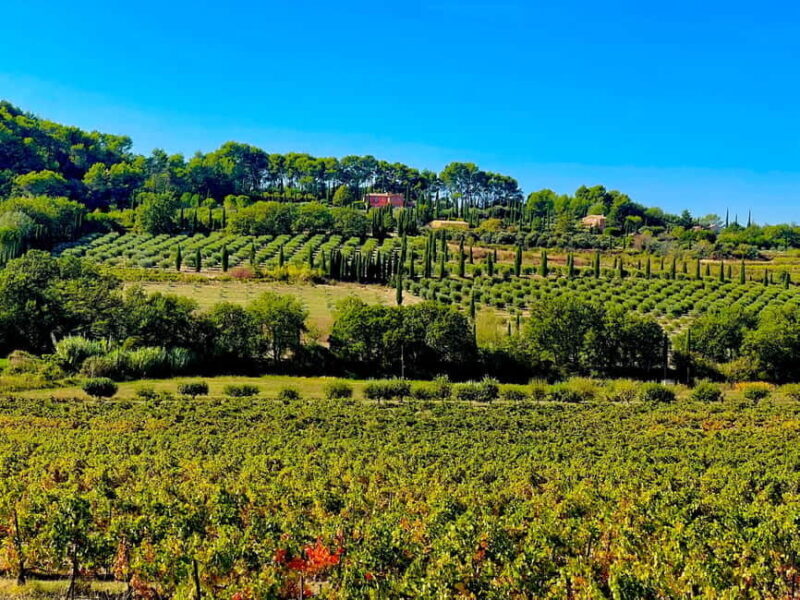 From Avignon: Provence Highlights Full-Day Tour - Who Would Love This Tour