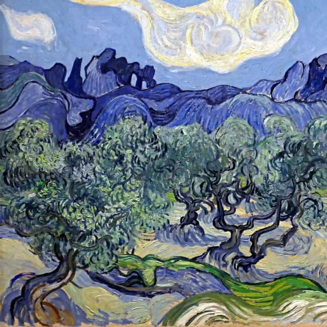 From Avignon: Van Gogh's sites and Roman monuments - Final Thoughts: Who Is This Tour Best For?