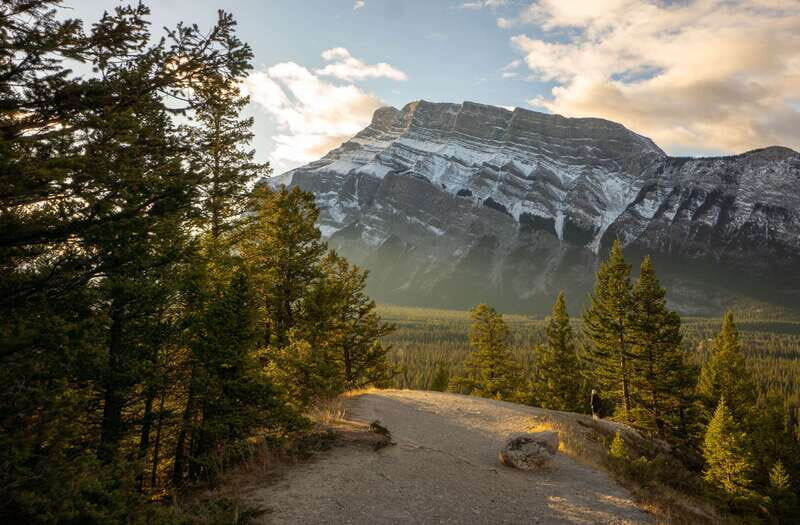 From Banff: Banff Wildlife & Scenic Highlights Premium Tour - An In-Depth Look at the Tour Itinerary