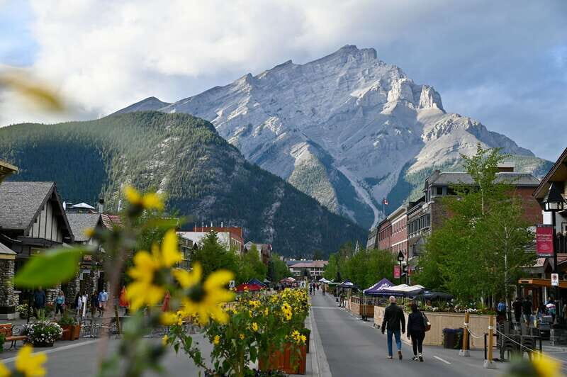 From Banff: Banff Wildlife & Scenic Highlights Premium Tour - The Real Experience: What Travelers Are Saying