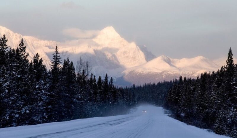 From Banff: Icefields Parkway & Abraham Lake Ice Bubbles - Reviews and Real Travelers’ Insights
