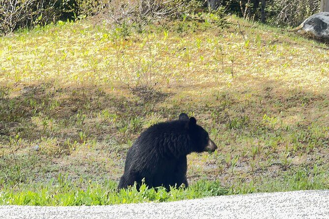 From Banff: Shuttle Service to Moraine Lake & Lake Louise - FAQ