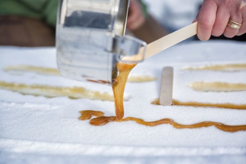 From Banff: Snowshoeing Tour in Kootenay National Park - The Experience in Detail