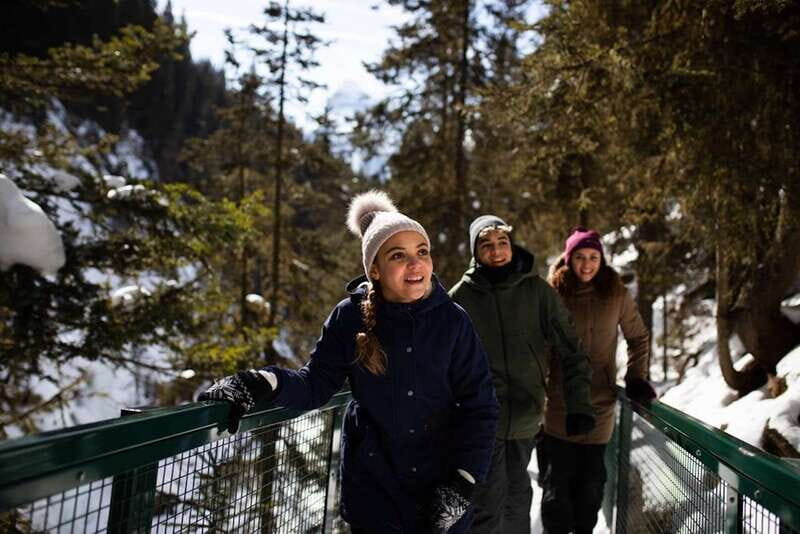 From Banff: Winter Wonderland; Lake Louise & Johnston Canyon - The Activities in Detail