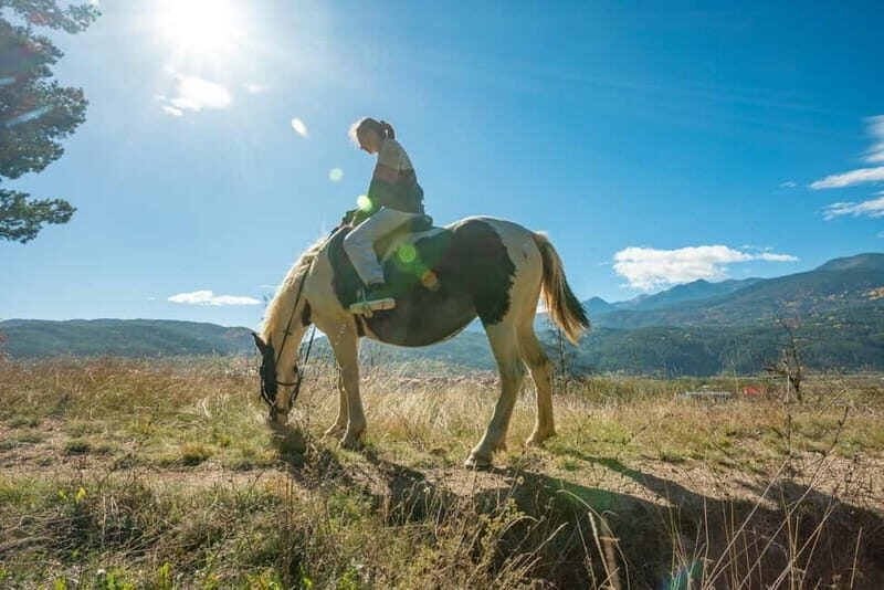From Bansko: Horse Riding Experience - The Guides and the Experience Itself