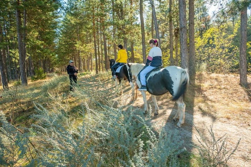 From Bansko: Horse Riding Experience - Who Will Love This Experience?