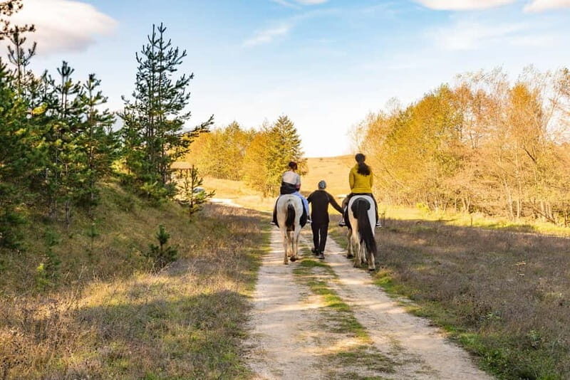From Bansko: Horse Riding Experience - The Sum Up