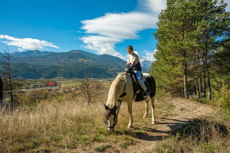 From Bansko: Horse Riding Experience - FAQs
