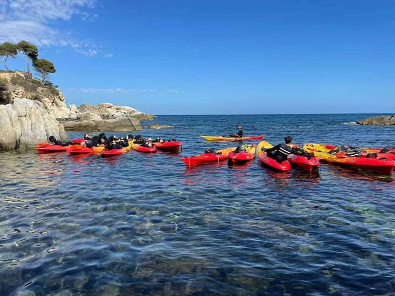 From Barcelona: Costa Brava Kayak & Snorkel Tour with Picnic - Who Should Consider This Tour?