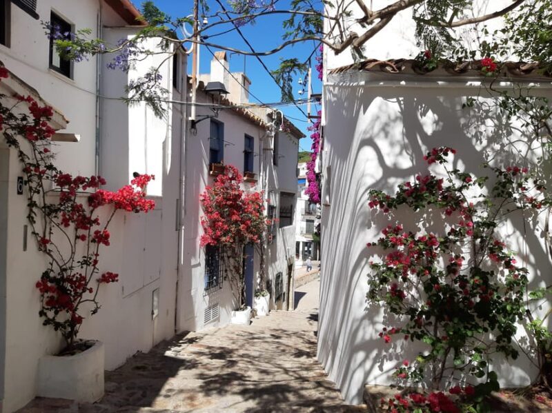 From Barcelona: Costa Brava Typical Towns full day tour - What to Expect from the Tour