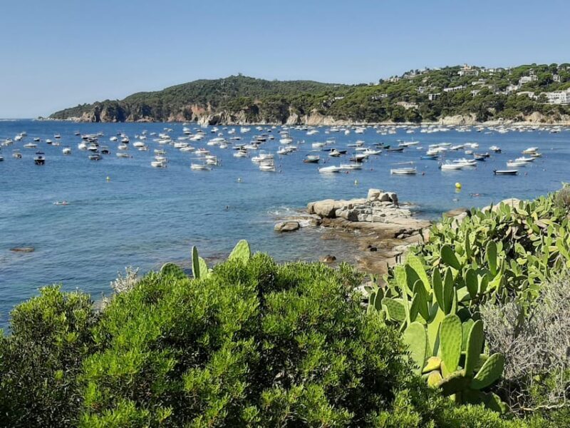 From Barcelona: Costa Brava Typical Towns full day tour - Frequently Asked Questions (FAQs)