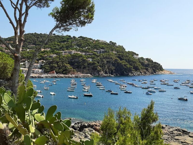 From Barcelona: Costa Brava Typical Towns full day tour - Final Thoughts