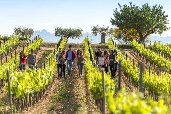 From Barcelona: El Penedès Hike & Wines - Key Points