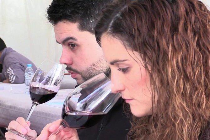 From Barcelona: El Penedès Hike & Wines - The Itinerary in Detail