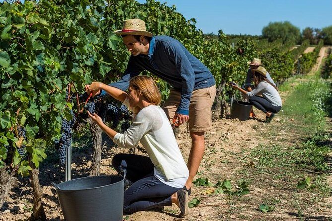 From Barcelona: El Penedès Hike & Wines - FAQ