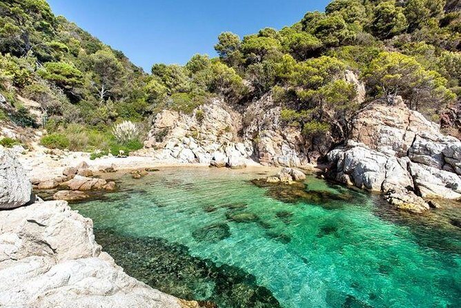 From Barcelona : Girona and Costa Brava Small Group Tour - Who Should Consider This Tour?
