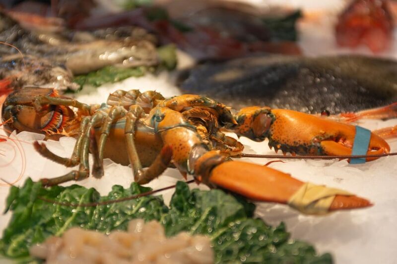 From Barcelona: Girona & Costa Brava Game of Thrones Tour - Final Thoughts