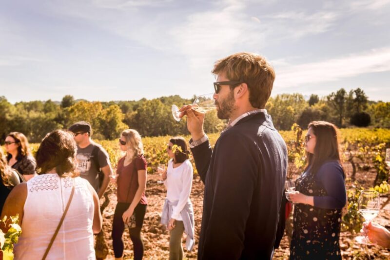 From Barcelona: Montserrat Half-Day Wine and Tapas Trip - How the Day Unfolds: An Itinerary Breakdown