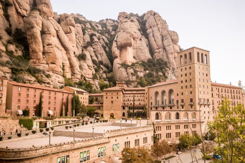 From Barcelona: Montserrat Half-Day Wine and Tapas Trip - How the Winery Tour Works: Vines, Barrels, and the Three Wines